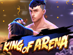 King Of Arena screenshot