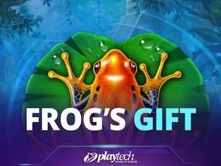 Frogs Gift screenshot